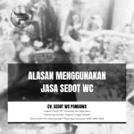 Alasan Menggunakan Jasa Sedot WC