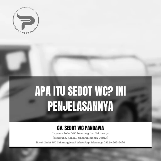 Apa Itu Sedot WC Ini Penjelasannya