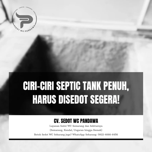 Ciri-ciri Septic Tank Penuh, Harus Disedot Segera!