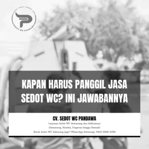 Kapan Harus Panggil Jasa Sedot WC? Ini Jawabannya