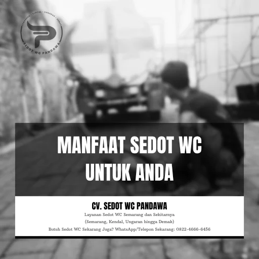 Manfaat Sedot WC untuk Anda