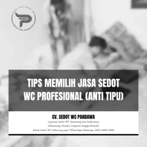Tips Memilih Jasa Sedot WC Profesional (Anti Tipu)