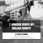 7 Jawaban Kenapa WC Menjadi Mampet