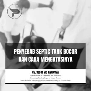 Penyebab Septic Tank Bocor dan Cara Mengatasinya