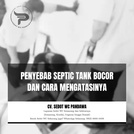 Penyebab Septic Tank Bocor dan Cara Mengatasinya
