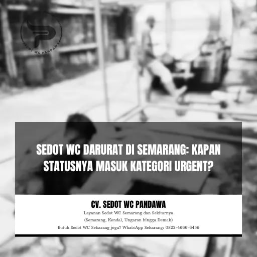 Cara Kerja Tim Sedot WC Profesional dari Awal hingga Selesai